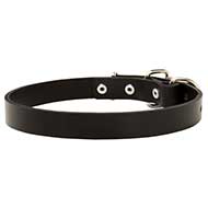 Narrow Leather Collar