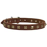 Gorgeous Decorated Leather Collar