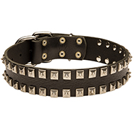 Fashionable Studded Leather Collar