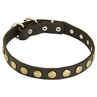 Gorgeous Leather Dog Collar