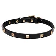 Leather Dog Collar with Brass Studs - "Modern Style" 4/5 inch (20 mm)