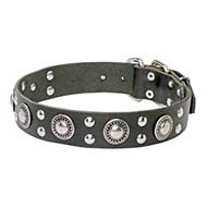 'Rock'n'Roll' Stylish Leather Dog Collar