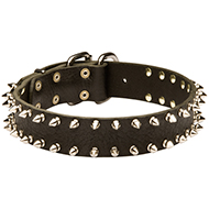 Spiked Leather Dog Collar