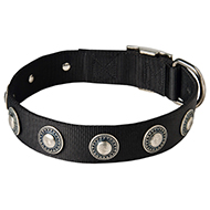 Fashionable Nylon Dog Collar with Silvery Conchos