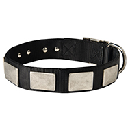 Fashionable Nylon Dog Collar with Vintage Plates