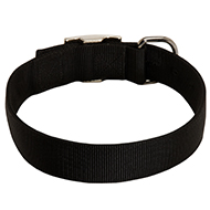 2 Ply Nylon Wide Dog Collar