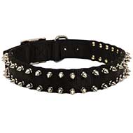 Waterproof Nylon Dog Collar with Spikes