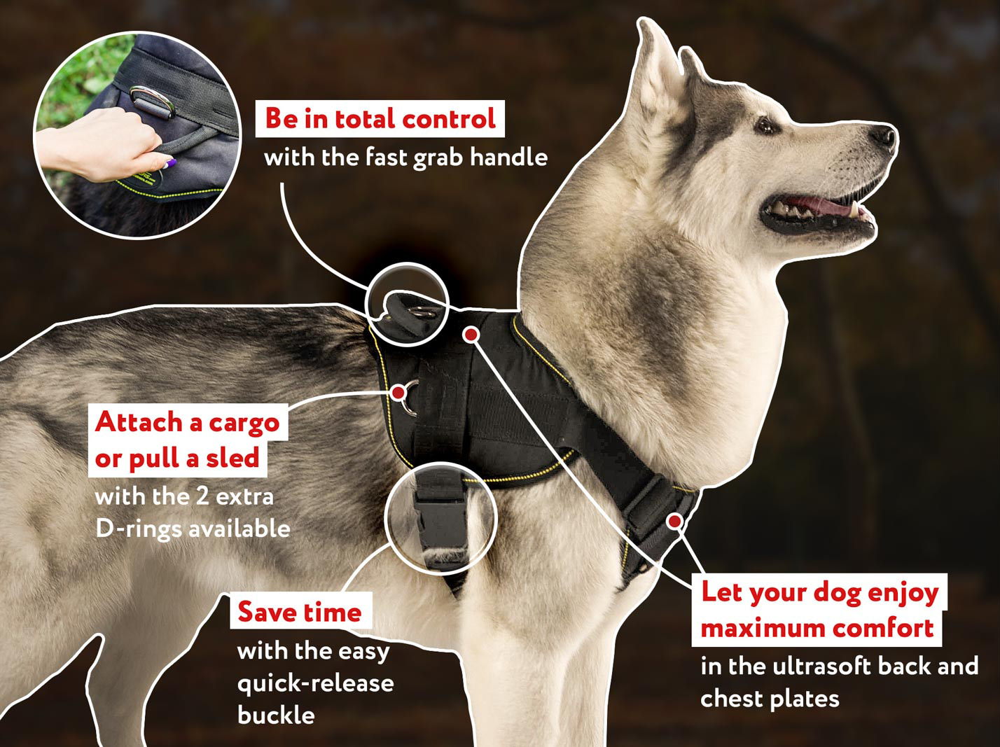 Buy Tracking Pulling Nylon Dog Harness | Australia Canine Store