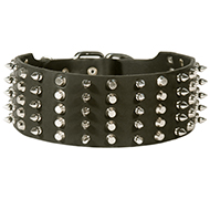 3 inch Decorated Dog Collar