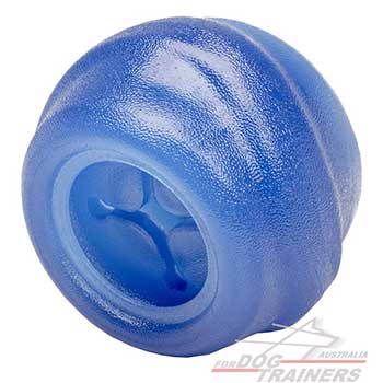 Dog Toy for Treats