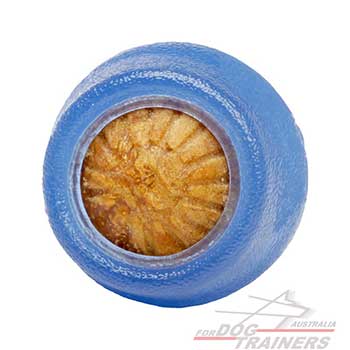 Canine Toy for Chewing