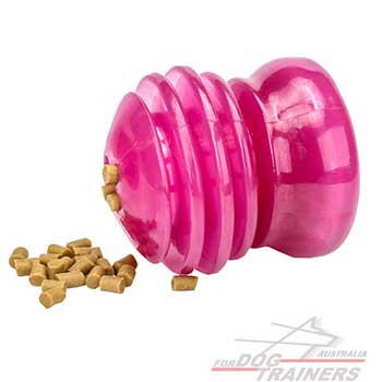 Canine Dog Toy