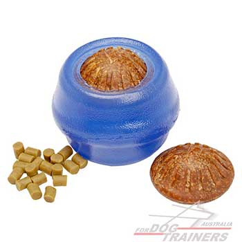 Canine Toy for Chewing