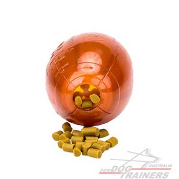 Dog rubber toy for treats and kibble