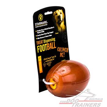 Durable dog toy for chewing