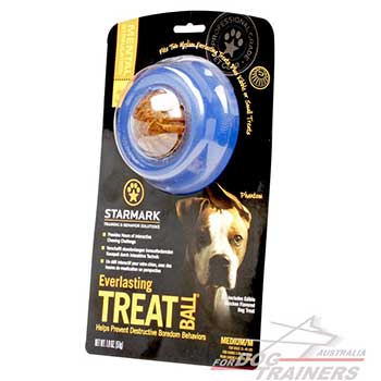Canine Dog Toy