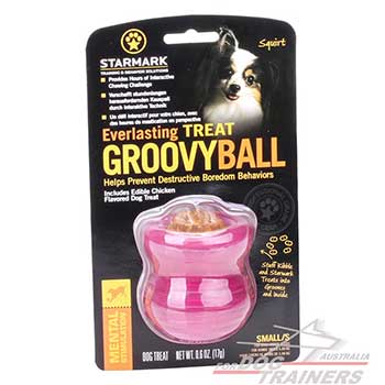Canine Dog Toy