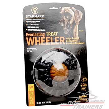 Treat Wheeler for Large Dog Breed