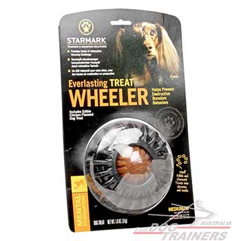 Treat Wheeler for Medium Dog Breed