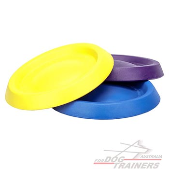 Water-floating dog toy