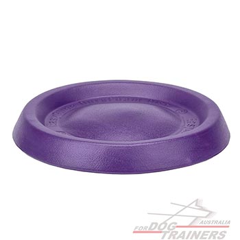 Bright dog disc for playing