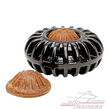 Dog Treat Toy