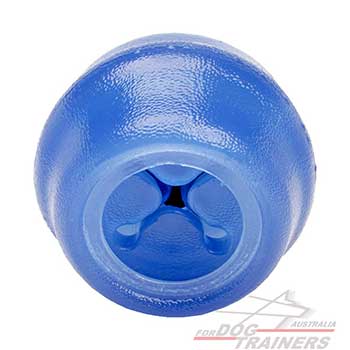  Rubber Dog Chewing Toy