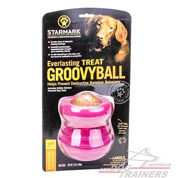 Dog Toy for Treats