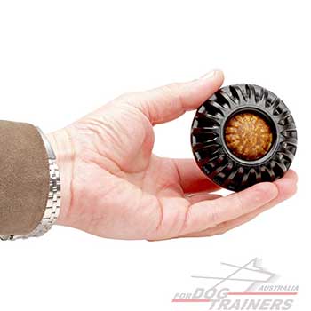   Dog Chewing Toy