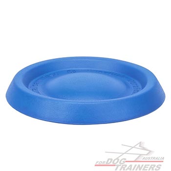 Easy to use foam disc