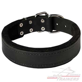 Felt Padded Leather Collar for Agitation Training