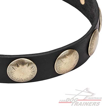 Durable Leather Dog Collar with Brass Studs