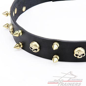 Brass Decorative Elements on Black Designer Leather Collar for Dogs
