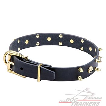 Leather Collar with Durable Brass Buckle and D-ring
