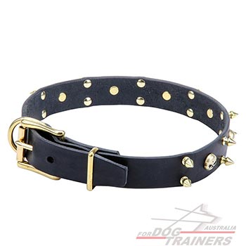 Leather Collar with Durable Brass Buckle and D-ring
