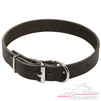 Dog leather collar with silver like fittings