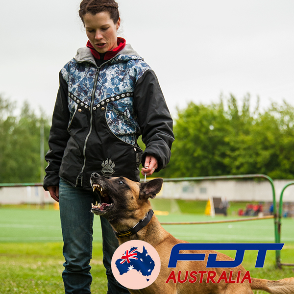 Chrome Plated Dog Pinch Collar