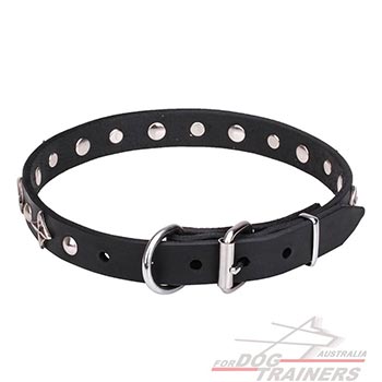 Leather dog collar with chrome plated hardware