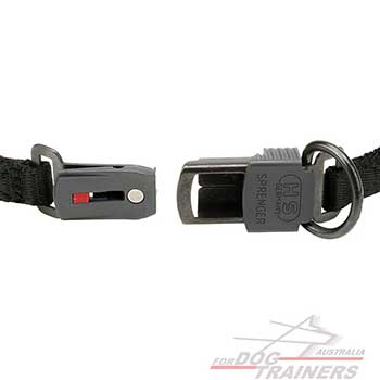 Reliable Click Lock Buckle