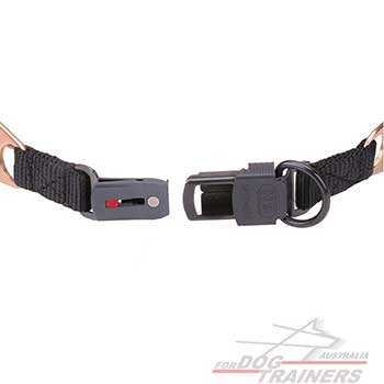 Reliable Click Lock Buckle