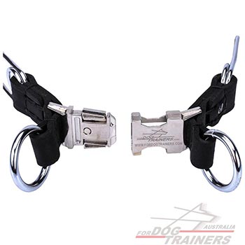 Pinch Dog Collar Made of Chrome Plated Steel
