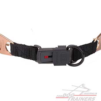 Herm Sprenger Curogan Dog Collar