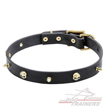 Decorated Leather Dog Collar