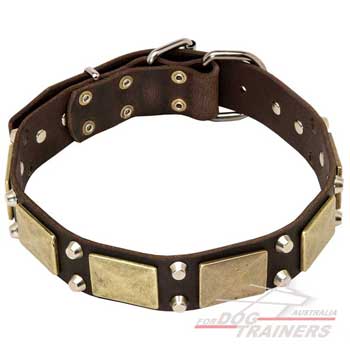 Designer collar massive plates combined with pyramids collar