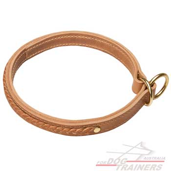 Strong and stylish leather collar