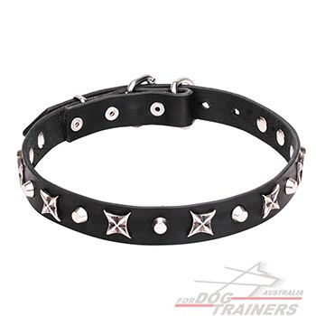 Leather Dog Collar with Nickel Plated Shiny Decorations