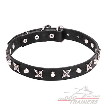 Leather Dog Collar with Nickel Plated Shiny Decorations