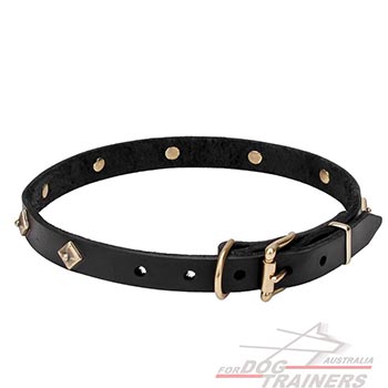 Natural Leather Narrow Dog Collar of Stylish Design