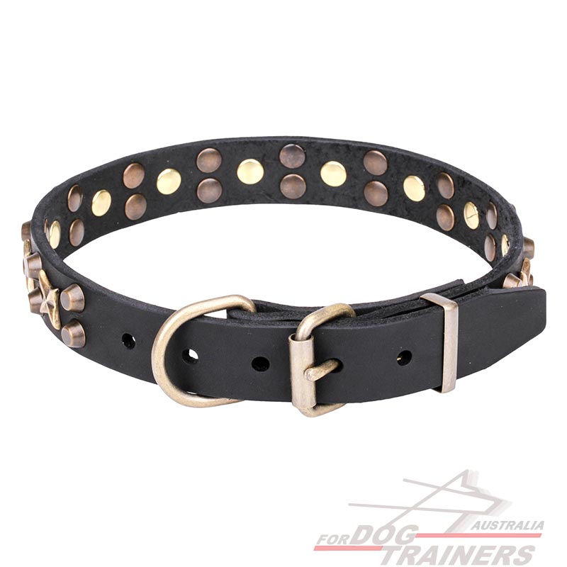 Leather Dog Collar Hollywood Star with Stars and Pyramids -1 1/4 inch ...