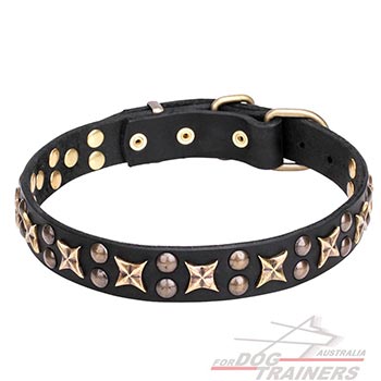   Walking Leather Dog Collar Soft and Comfortable for Wearing 